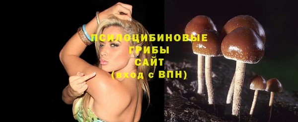 шишки Нефтегорск