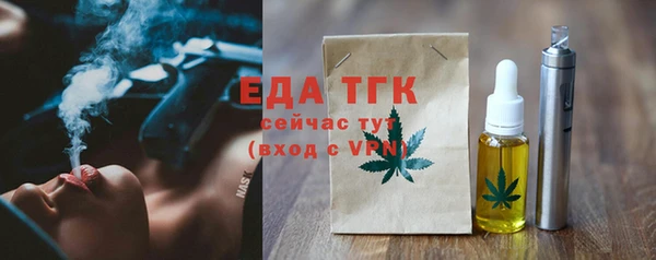 хмурый Алексин