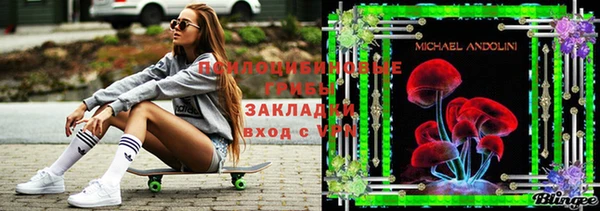 первитин Алексеевка