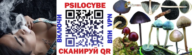 Галлюциногенные грибы GOLDEN TEACHER  даркнет сайт  Кочубеевское 
